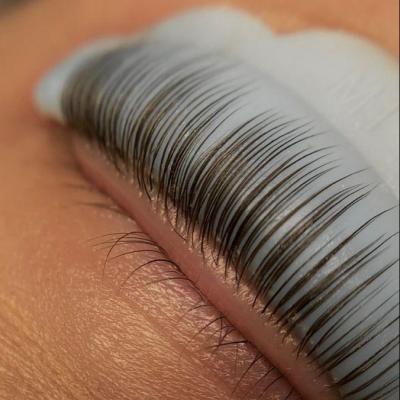 beauté du regard